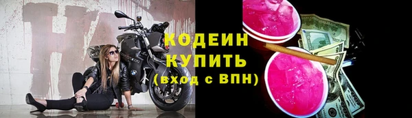 МДПВ Вяземский