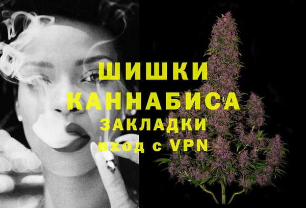 МДПВ Вяземский
