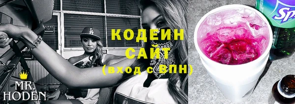 МДПВ Вяземский
