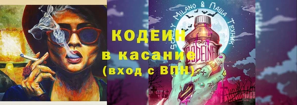 МДПВ Вяземский