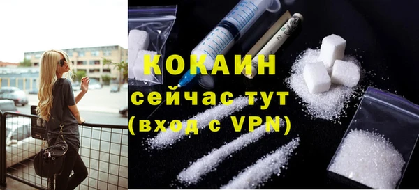 МДПВ Вяземский