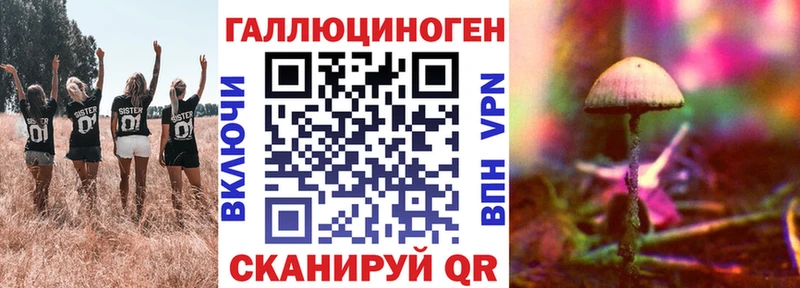 Купить закладки  Лермонтов  Галлюциногенные грибы ЛСД 
